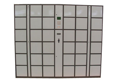 세륨 36의 문 큰 크기 강철 수화물 로커, LCD 스크린을 가진 암호 전자 사무실 로커 상자