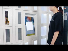 신선한 로커 기계를 파는 냉동 꽃은 18.5 인치를 말립니다